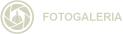 Photo Gallery